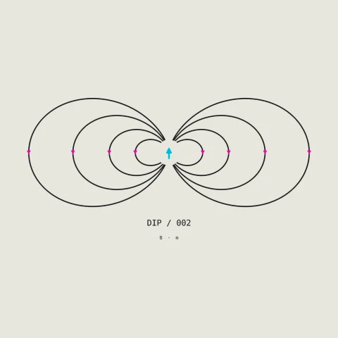 Symmetric field lines loop around a central dipole.